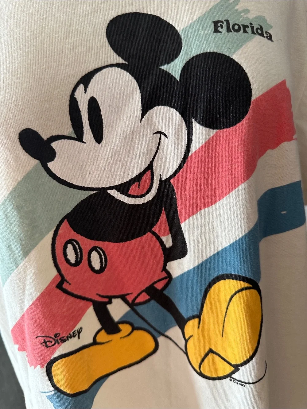 Junk Food Americana Florida Mickey Disney Tshirt - Picture 4 of 7